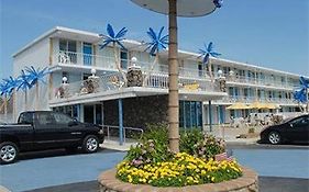 Blue Palms Resort Wildwood 3* United States